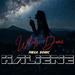 Mega Sonic - What's Done (Original) 2o24