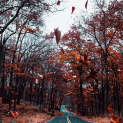 sonder (prod.neverforever)