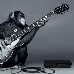 Prime8 Radio - KTPC-LP Venice 99.1 FM - August 2021