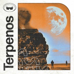 Terpenos - Satindica