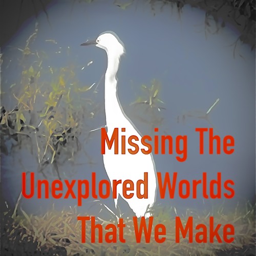Missing the unexplored worlds that we make