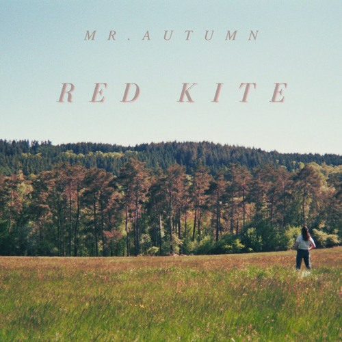 Mr. Autumn - Red Kite