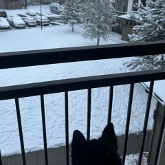 Castle prod misterkillmysef