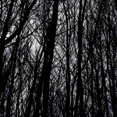 Slate Sessions w/ Four Days, Louise Plus One and Hughesee - January 2021