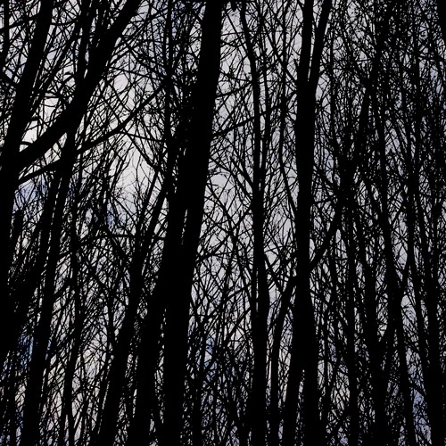 Slate Sessions w/ Four Days, Louise Plus One and Hughesee - January 2021