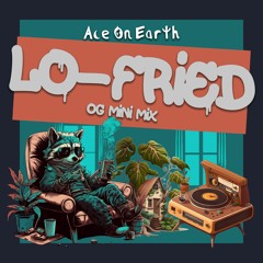 Lo-Fried (OG mini mix)