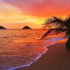 Hawaiin Beach