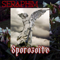 SPOROZOITE ⚡️⚡️