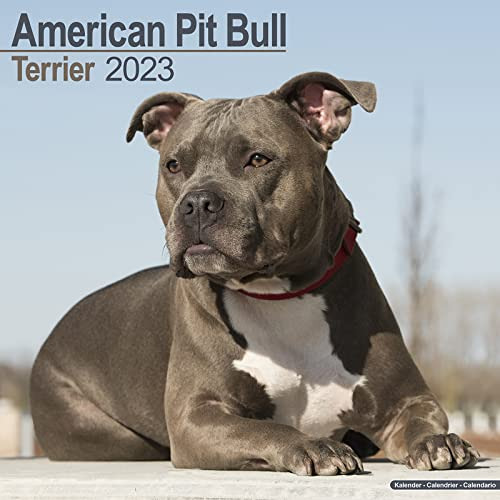 [View] PDF 📙 American Pit Bull Terrier Calendar - Dog Breed Calendars - 2022 - 2023
