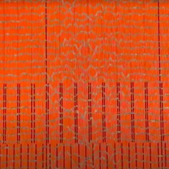 Tiger Shark - She's Lost Control