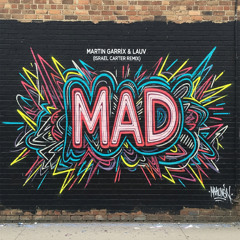 Martin Garrix & Lauv - MAD (Israel Carter Remix)