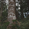 FITF Mix 001: Will You DJ mix artwork - Electronic music tracklist cover image