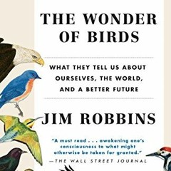 𝑫𝒐𝒘𝒏𝒍𝒐𝒂𝒅 EBOOK ✏️ The Wonder of Birds: What They Tell Us About Ourselves