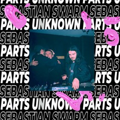 4 Years of Lunacy - 30 Years of MYN // Parts Unknown & Sebastian Swarm