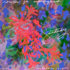 Sanctuary (ft. Eveningbird)
