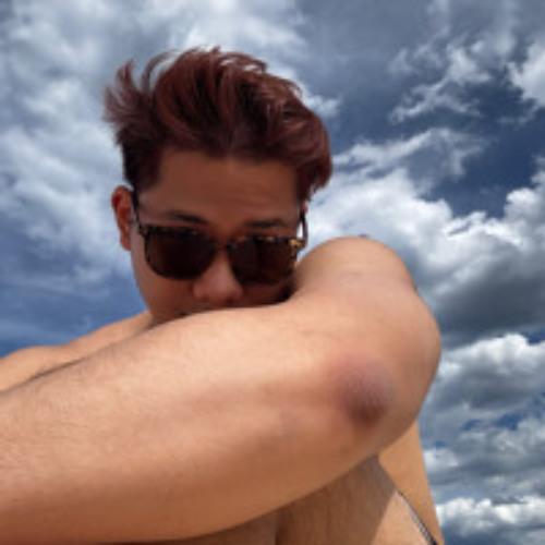 pov (2024)
