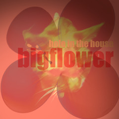 Don’t know where to start