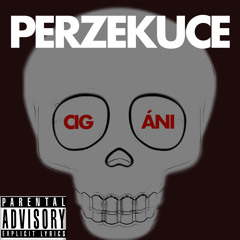 Perzekuce