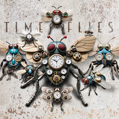 Timeflies by stephan boehme