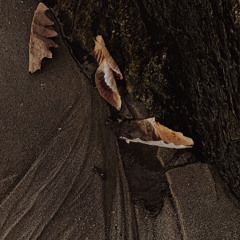 And Of The Hidden
