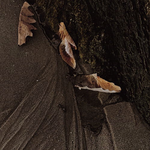 And Of The Hidden