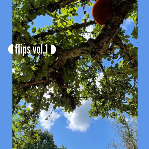 flips vol.1