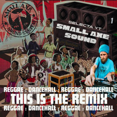 SMALL AXE SOUND  ( YT )  "This Is The Remix"  Pt. 1