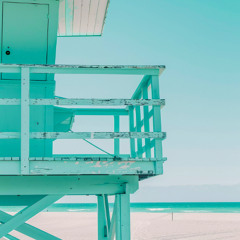 Ted Amber - Summered