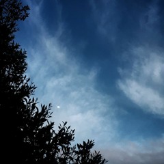 محسن يگانه  : اغاني ايرانية