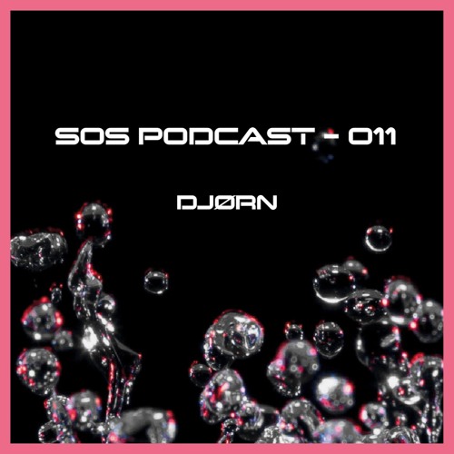 DJØRN | SektoderSelters 011