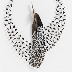 Birds of a feather remix