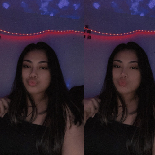 C o c o n u t T r e e