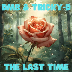 DMB & Tricky-D - The Last Time