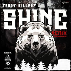 Teddy Killerz - Shine (Saint Robbers Remix)