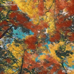 PREMIERE: Igor B - Dry Leaves