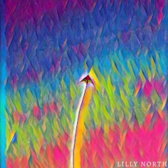 soupcrate - prequel to hope (Lilly North Remix)