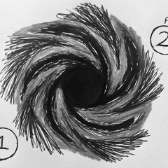 The Whole ME Phase 1&2