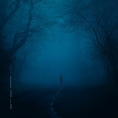 VERTEKKEN - Snowfall (HardTekk remix)