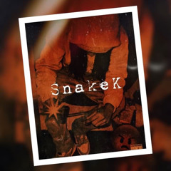 TEEFLIPPA - SNAKE K
