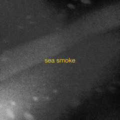sea smoke - Erik van Ingen