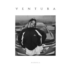 Fly Project - Mandala (V E N T U R A remix)