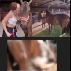 Video aida victoria merlano con caballo aida victoria merlano video con caballo