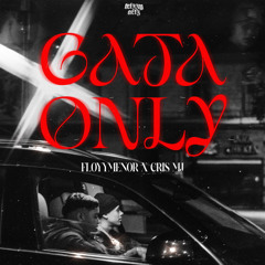 100 - 124 - FloyyMenor Ft. Cris Mj - Gata Only (@leorodrigo.pr Transition UP) 🔥 FREE DOWNLOAD