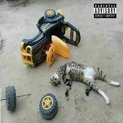 accident ft. @n1hxl