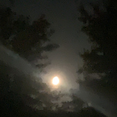 Heylog - This Is Where I Belong (slowed)