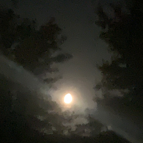 Heylog - This Is Where I Belong (slowed)