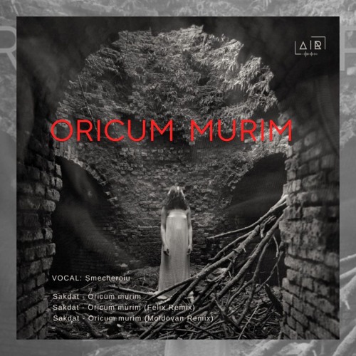 Oricum Murim (Moldovan Remix)