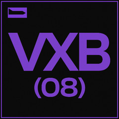 VXB (08)