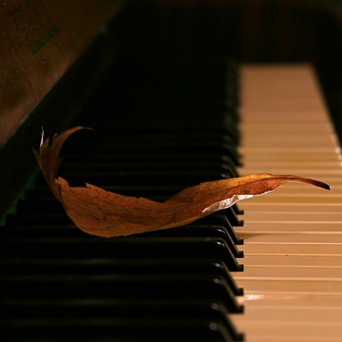 mozart pianoteq 5 mozart pianoteq 5