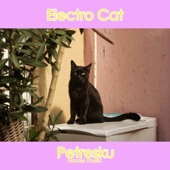 PETRESCU - Electro Cat